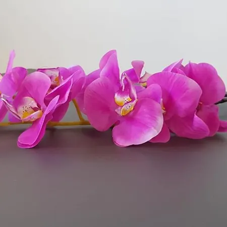 Appartement A Gallipoli