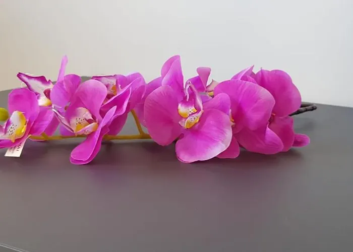 Appartamento A Gallipoli